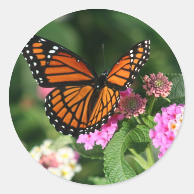 Monarch Butterfly auf der Blume Lantana Runder Aufkleber (Vorderseite)