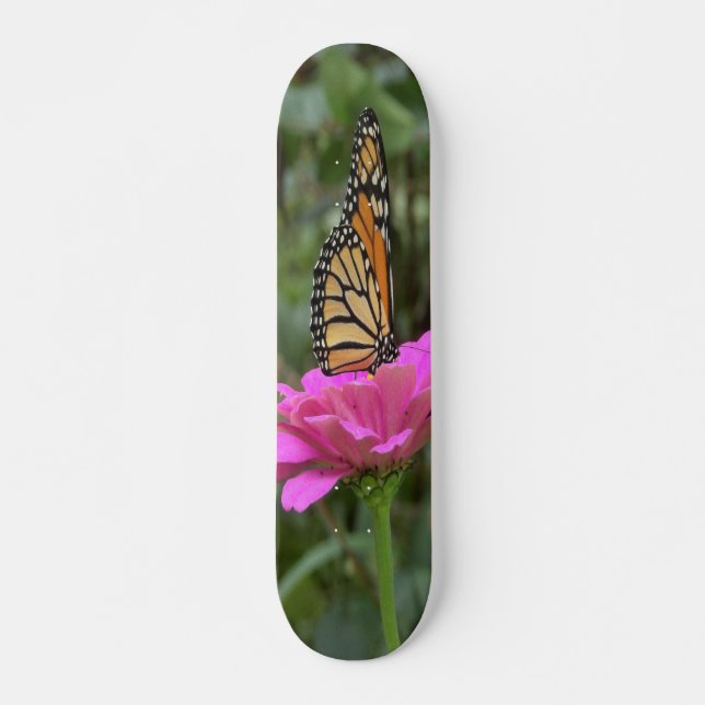 Monarch Butterfly auf der Hübschen rosa Zinnia-Blu Skateboard (Vorne)