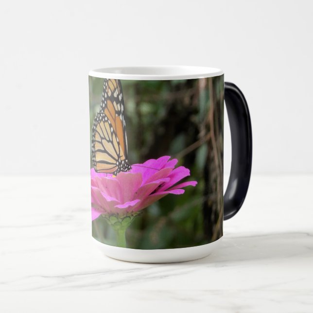 Monarch Butterfly auf der Hübschen rosa Zinnia-Blu Verwandlungstasse (VorderseiteRechts)