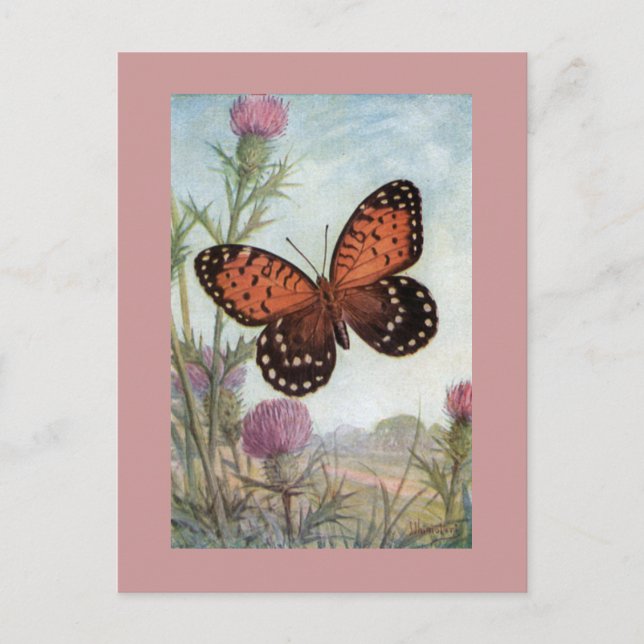Monarch Butterfly auf der Lila Klee Postkarte (Vorderseite)