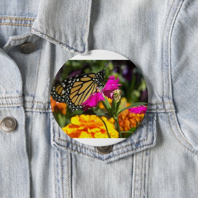 Monarch Butterfly auf der Pink-Marigold-Blume Button (Beispiel)