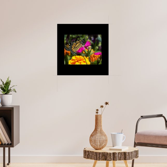 Monarch Butterfly auf der Pink-Marigold-Blume Poster (Wohnzimmer 3)