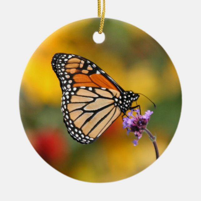 Monarch Butterfly auf der Suche nach Pollen Keramik Ornament (Vorne)