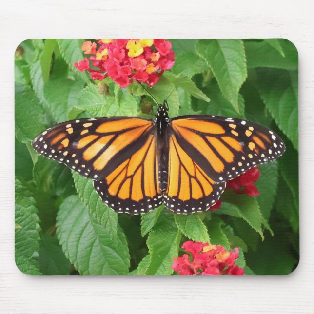 Monarch Butterfly auf Lantana Mousepad (Vorne)
