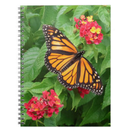 Monarch Butterfly auf Lantana Notizblock