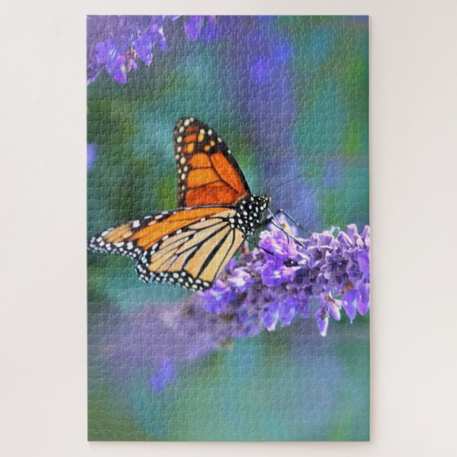 Monarch Butterfly auf Lila lila Blume (Vertikal)