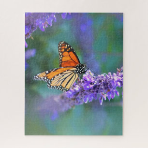 Monarch Butterfly auf Lila lila Blume