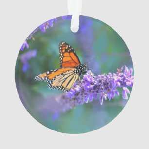 Monarch Butterfly auf Lila lila Blume Ornament