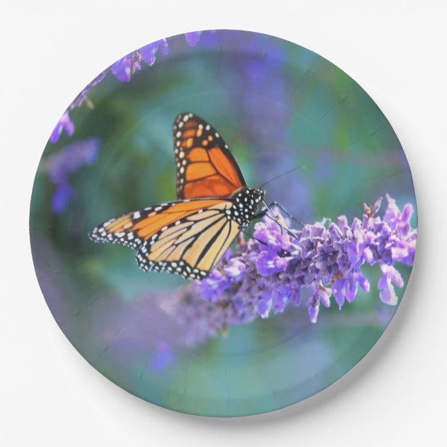 Monarch Butterfly auf Lila lila Blume Pappteller (Vorderseite)