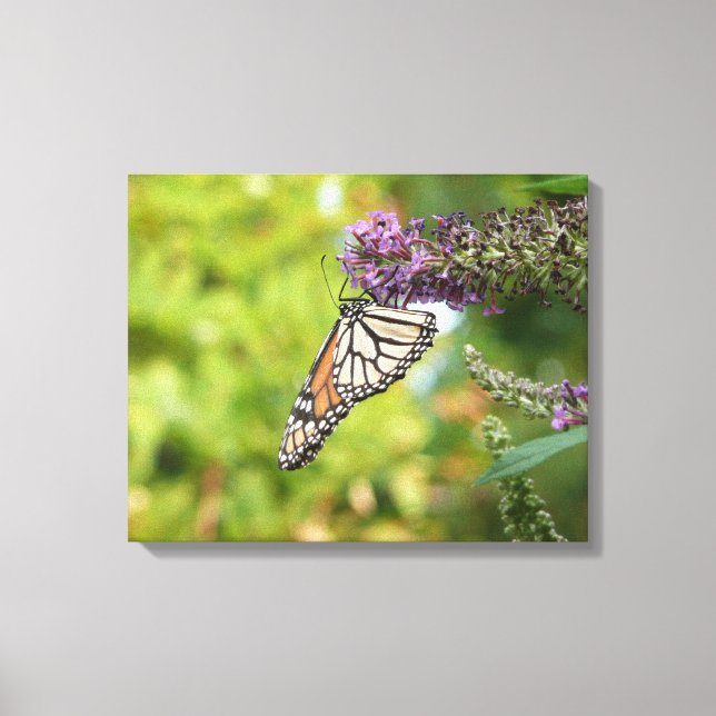 Monarch Butterfly auf Lila Schmetterling Bush Leinwanddruck (Vorderseite)