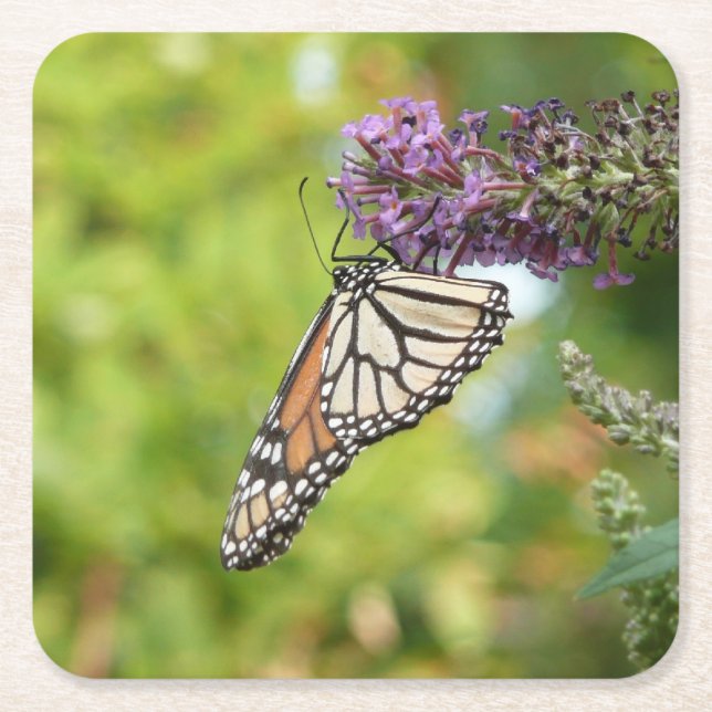 Monarch Butterfly auf Lila Schmetterling Bush Rechteckiger Pappuntersetzer (Vorderseite)