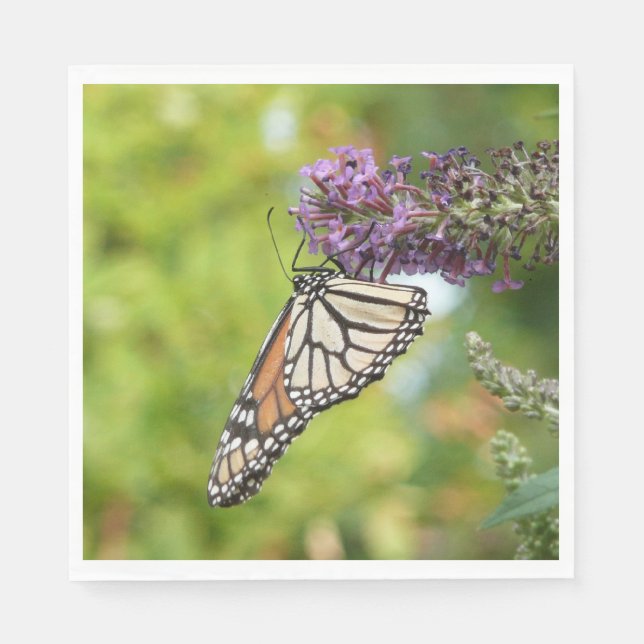 Monarch Butterfly auf Lila Schmetterling Bush Serviette (Vorderseite)