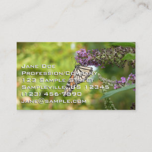 Monarch Butterfly auf Lila Schmetterling Bush Visitenkarte