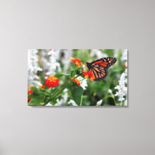 Monarch Butterfly auf Orange und Red Lantana Leinwanddruck