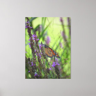 Monarch Butterfly auf Purple Flowers gegen Green Leinwanddruck