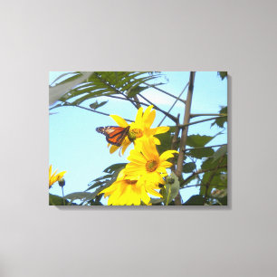 Monarch Butterfly auf Sonnenblumen gewickelt Leinw Leinwanddruck