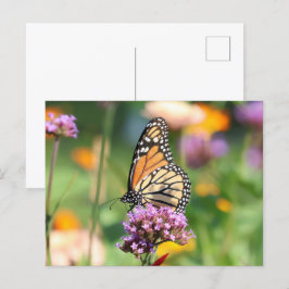 Monarch Butterfly auf Verbena Blank Postkarte