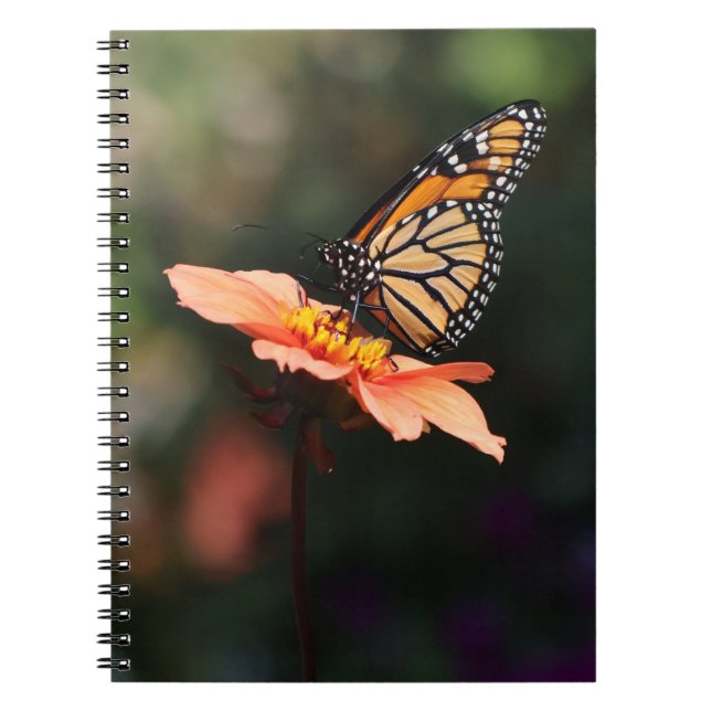 Monarch Butterfly auf Verbena & Dahlia Notizblock (Vorderseite)