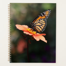 Monarch Butterfly auf Verbena & Dahlia Planer