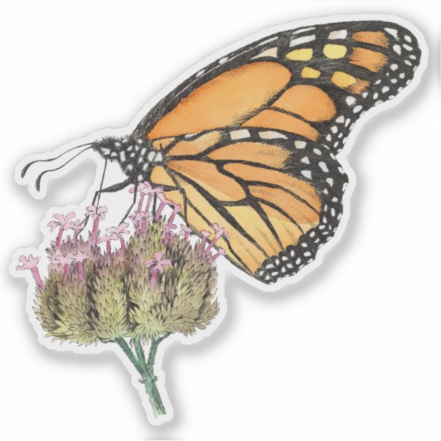 Monarch Butterfly auf Verbena Wasserfarbe und Tint Aufkleber (Vorderseite)