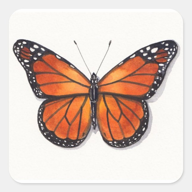 Monarch Butterfly-Aufkleber Quadratischer Aufkleber (Vorderseite)