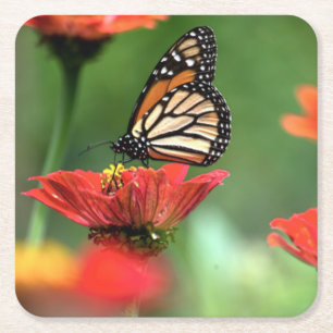 Monarch Butterfly-Bestäubung Rechteckiger Pappuntersetzer