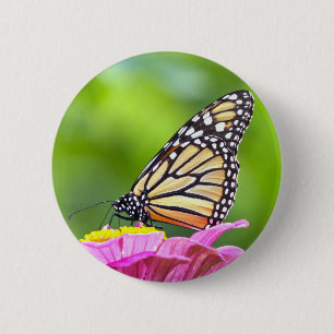 Monarch Butterfly Button