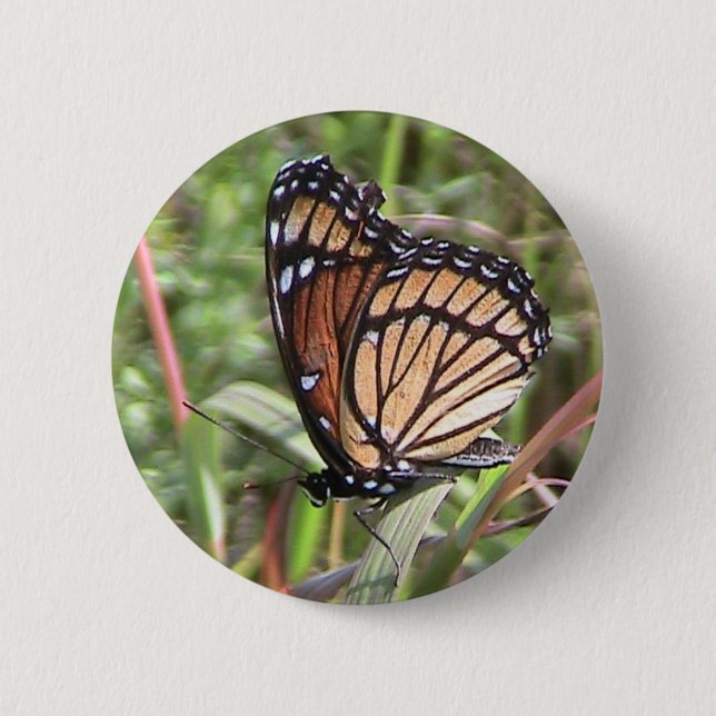 Monarch Butterfly Button (Vorderseite)