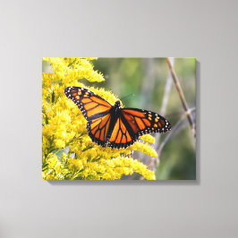 Monarch Butterfly Canvas Print Leinwanddruck