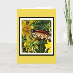 MONARCH BUTTERFLY - CARTE D'ANNIVERSAIRE
