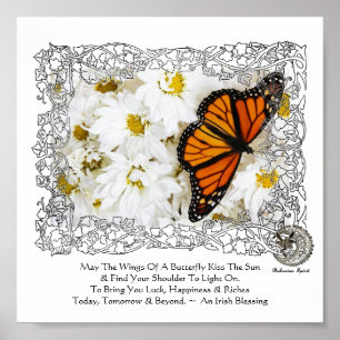 Monarch Butterfly & Daisies Poster