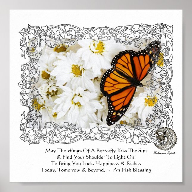Monarch Butterfly & Daisies Poster (Vorne)
