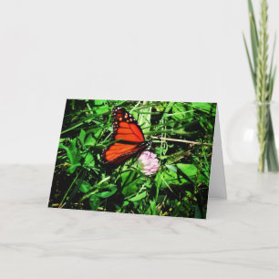 "Monarch Butterfly" erhält Well Card #2 Karte