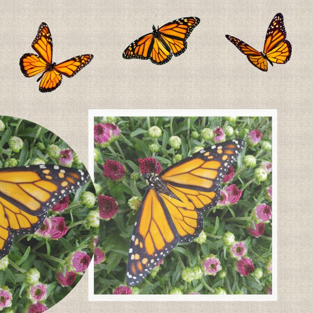 Monarch Butterfly Farbenfrohe Gartenanlage Serviette (Von Creator hochgeladen)