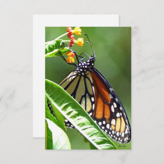 Monarch Butterfly Flat Danke Karte