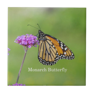 Monarch Butterfly Fliese