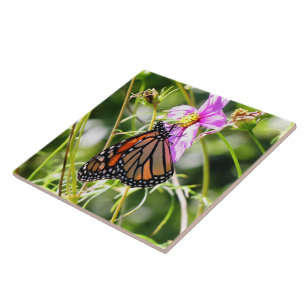 Monarch Butterfly Fliese