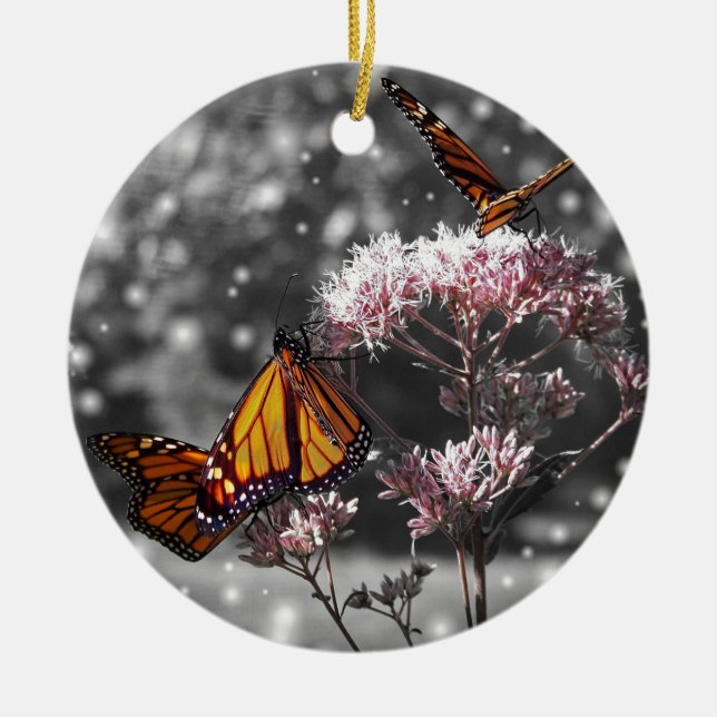 Monarch Butterfly Foto Atemberaubend ADD TEXT Keramik Ornament (Vorne)