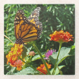 Monarch Butterfly Foto Helle Blume Natur Glasuntersetzer