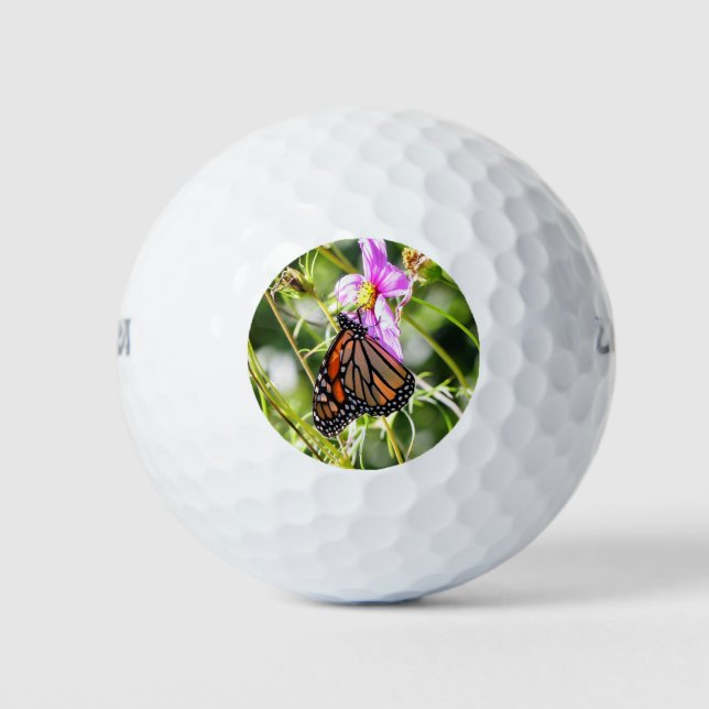 Monarch Butterfly Golfball (Vorderseite)