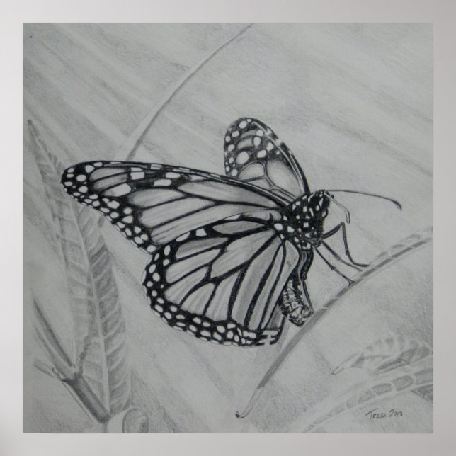 Monarch Butterfly-Graphit zeichnend Poster (Vorne)