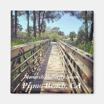 Monarch Butterfly Grove: Pismo Beach, CA: