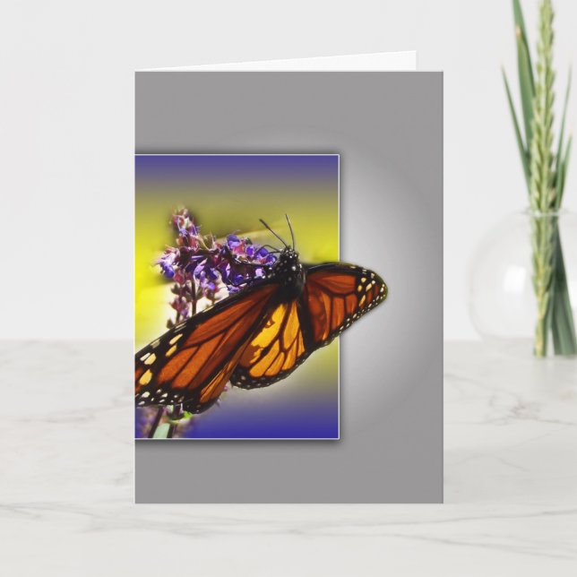 Monarch Butterfly Grüße Karte (Vorderseite)