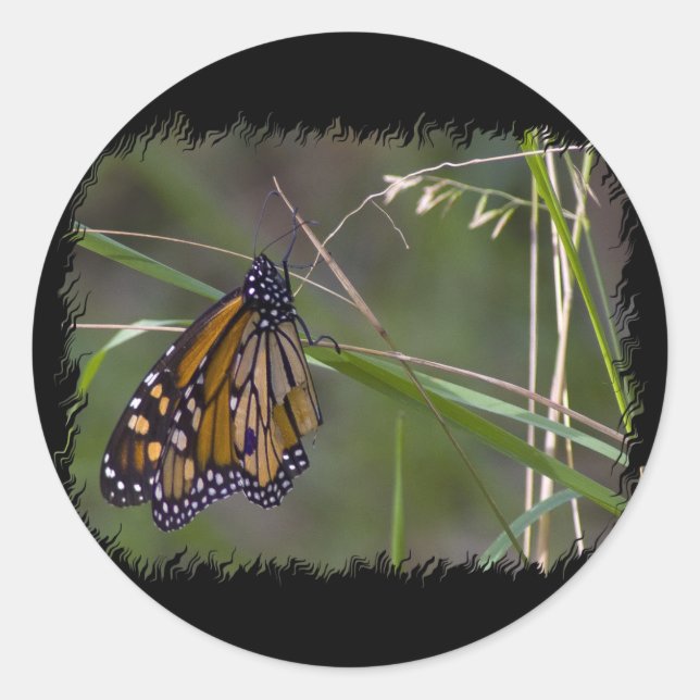 Monarch Butterfly im Gras Runder Aufkleber (Vorderseite)