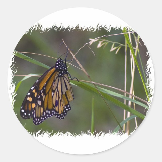 Monarch Butterfly im Gras Runder Aufkleber (Vorderseite)