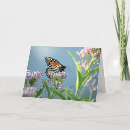 Monarch Butterfly - Inspirationsgrüßkarte Karte