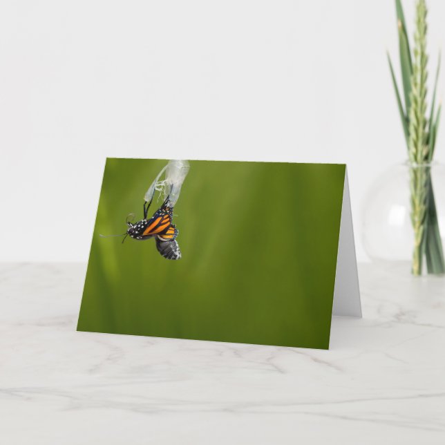 Monarch Butterfly ist Geborene Grußkarte Karte (Vorderseite)