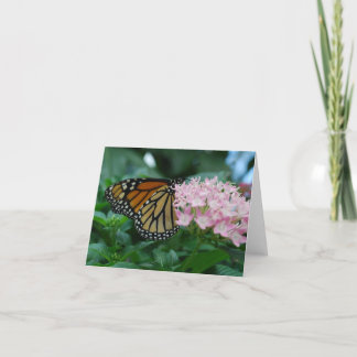 Monarch Butterfly Karte