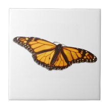 Monarch Butterfly Keramik Tile