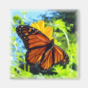 Monarch Butterfly Magnet